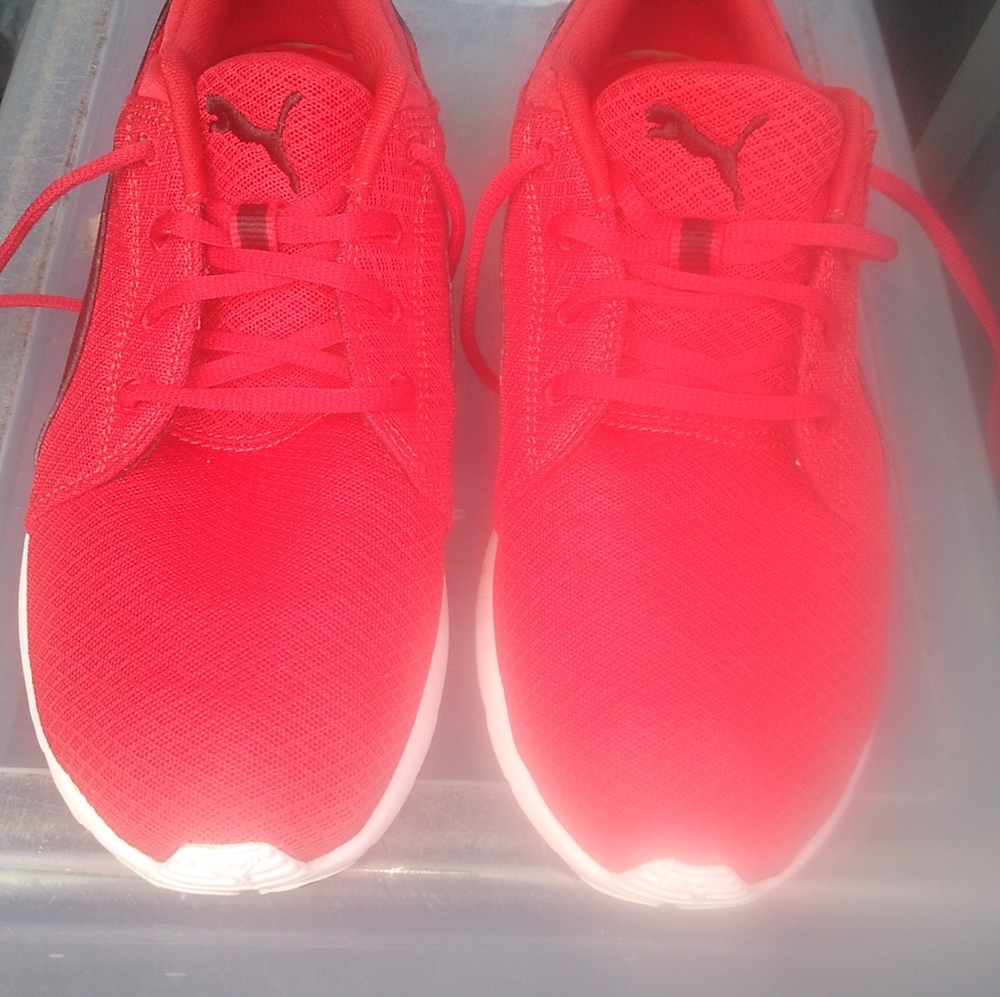 men's pumas